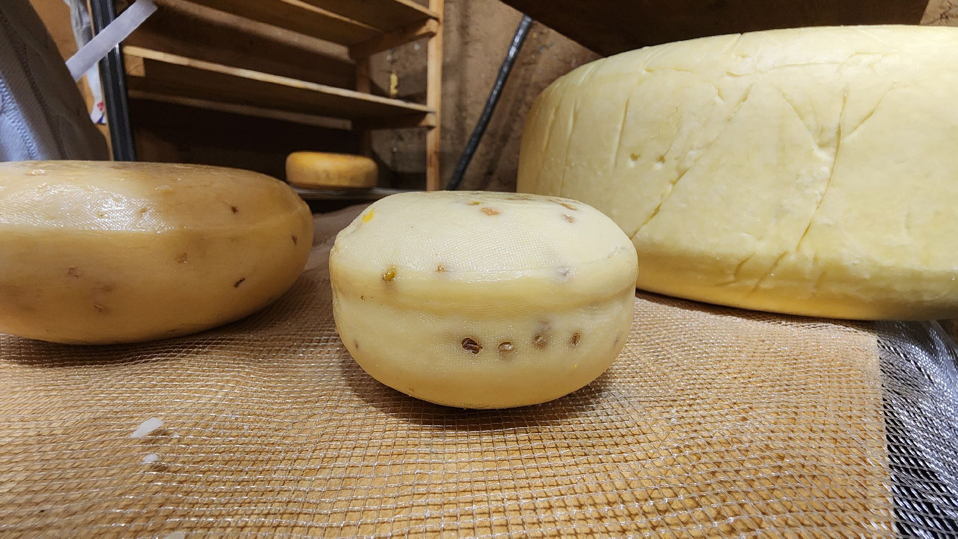 солнечногорск, сыроварня, деревня мошницы, джей клоуз,