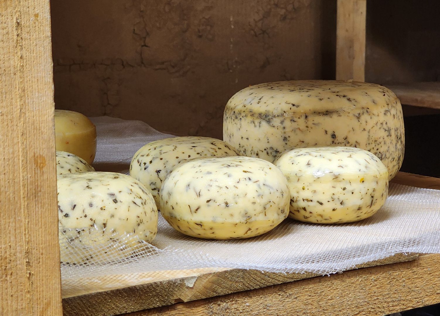 солнечногорск, сыроварня, деревня мошницы, джей клоуз,