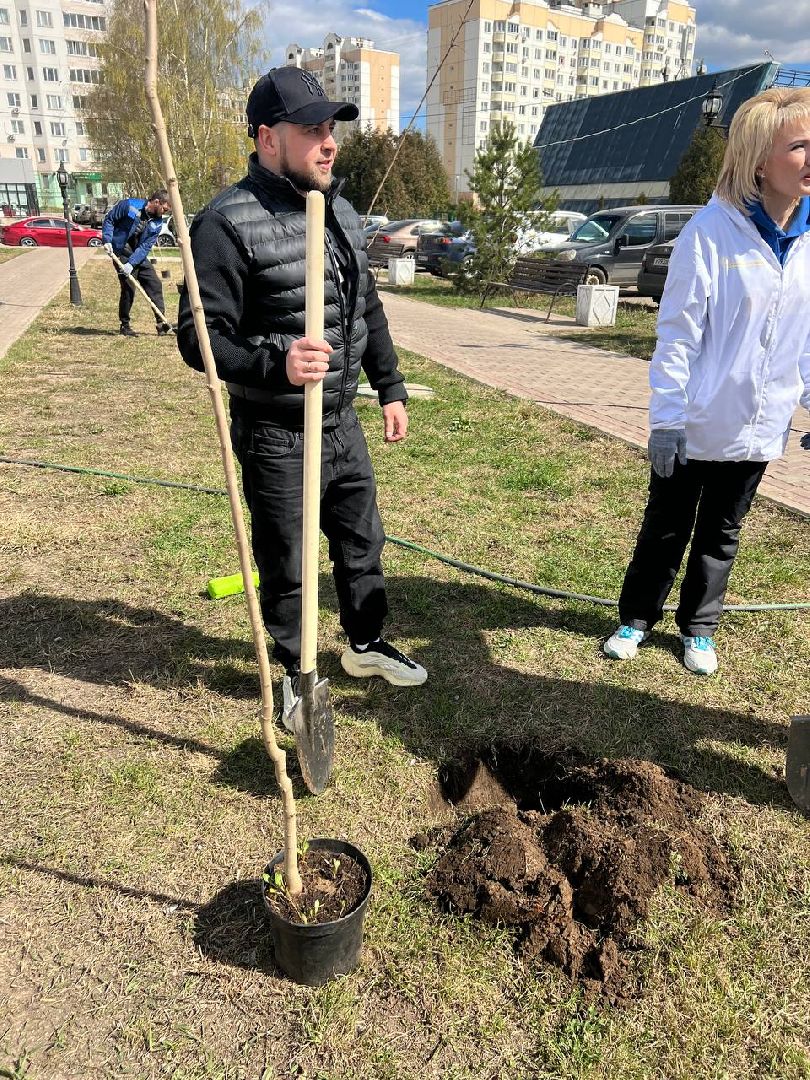 Солнечногорск, дерево, субботник, чистота, порядок
