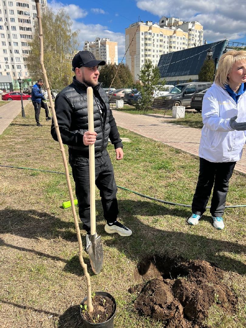 Солнечногорск, дерево, субботник, чистота, порядок