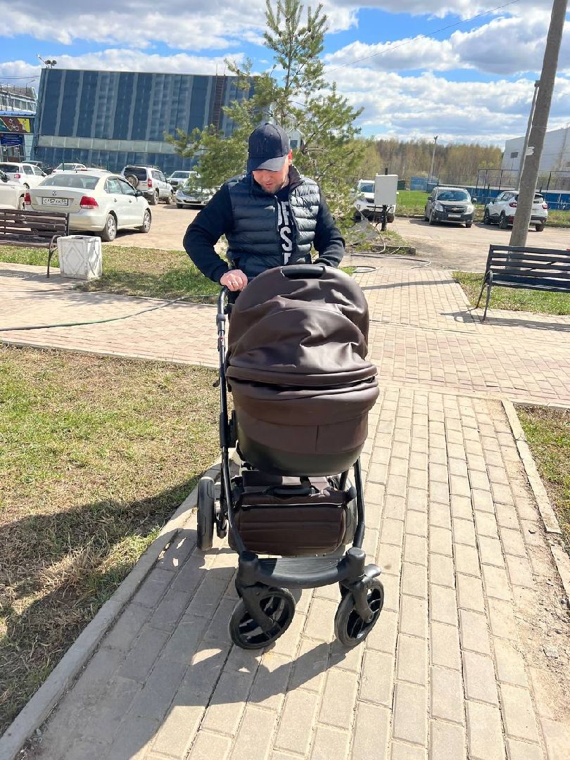 Солнечногорск, дерево, субботник, чистота, порядок