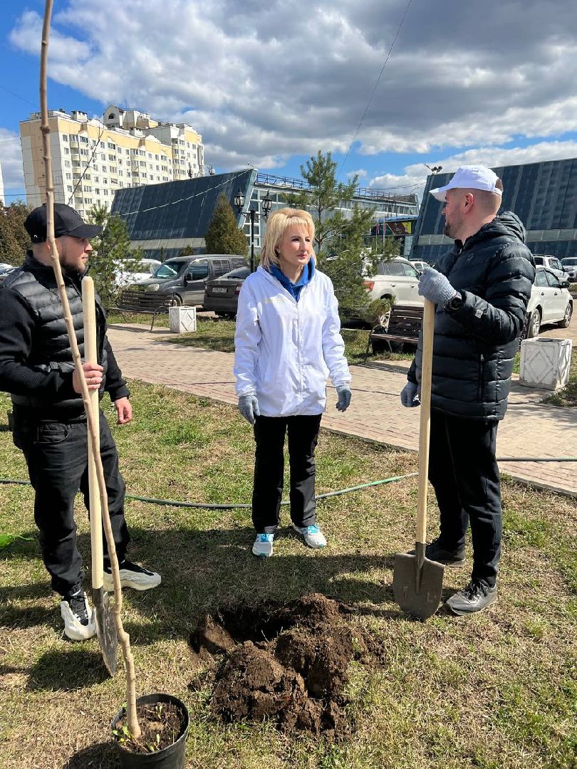 Солнечногорск, дерево, субботник, чистота, порядок