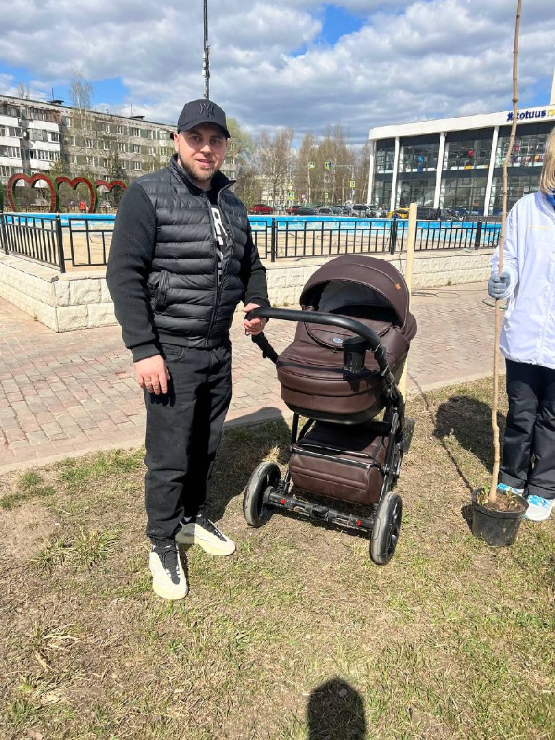 Солнечногорск, дерево, субботник, чистота, порядок