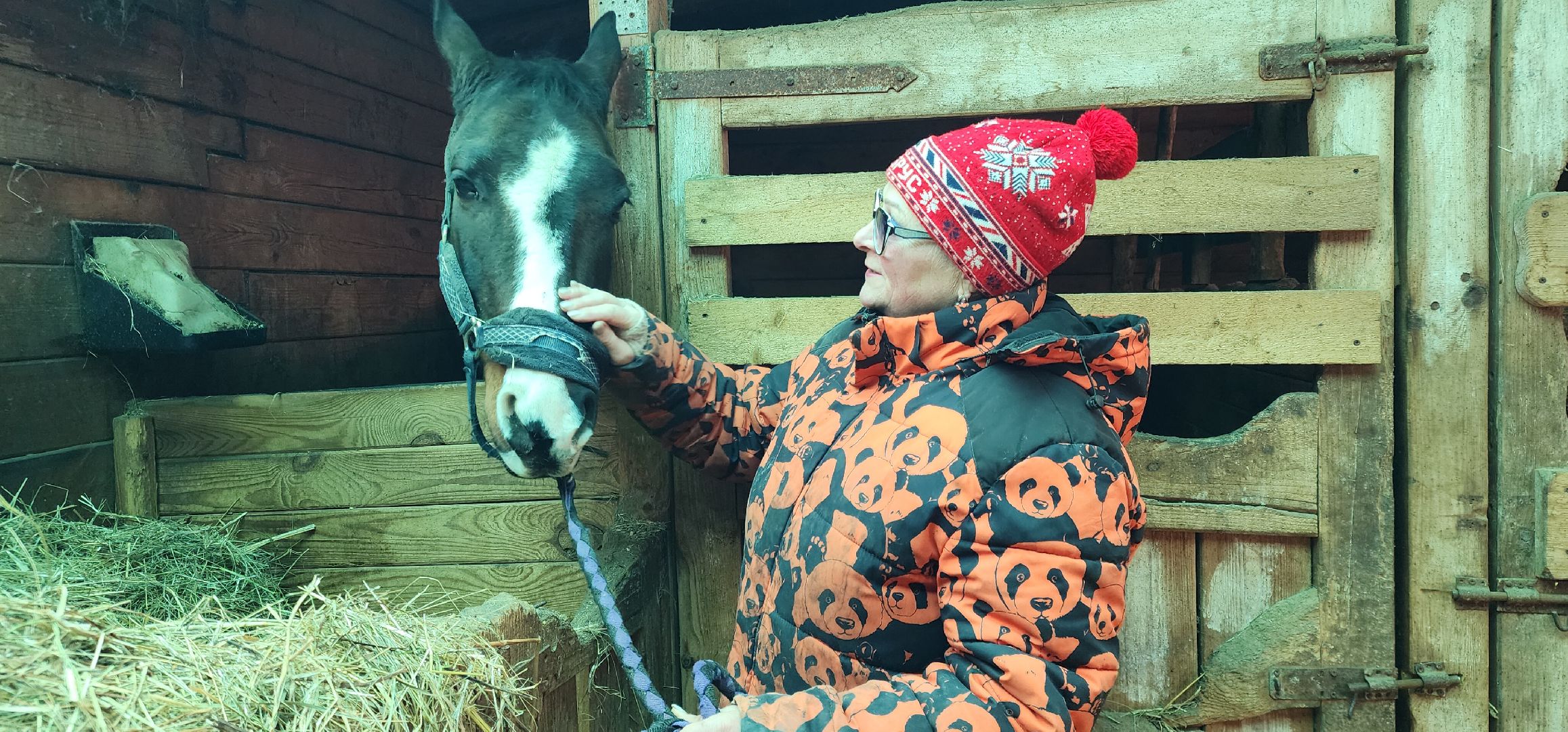 вертикалки, Туризм, конные прогулки,