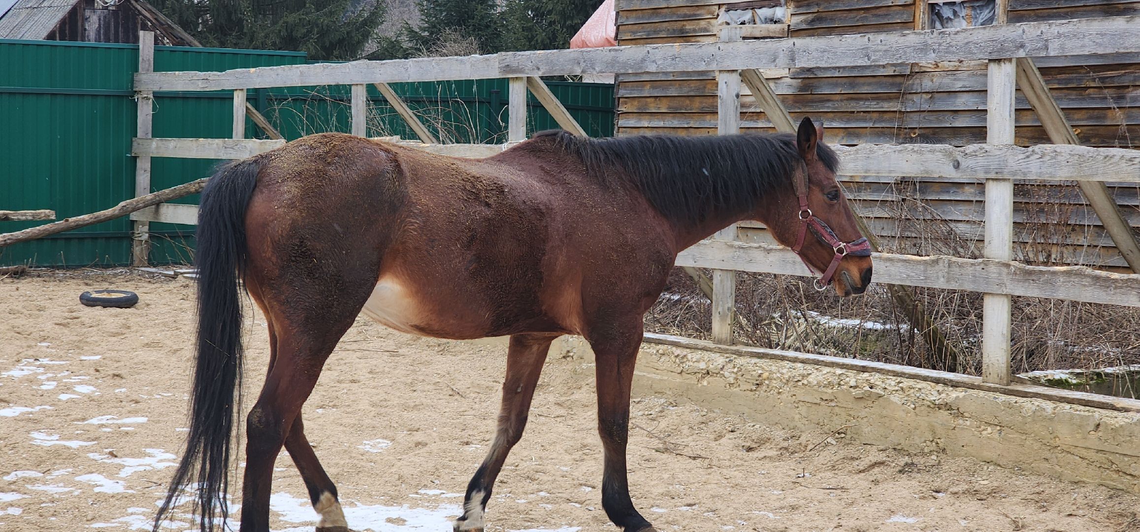 вертикалки, Туризм, конные прогулки,