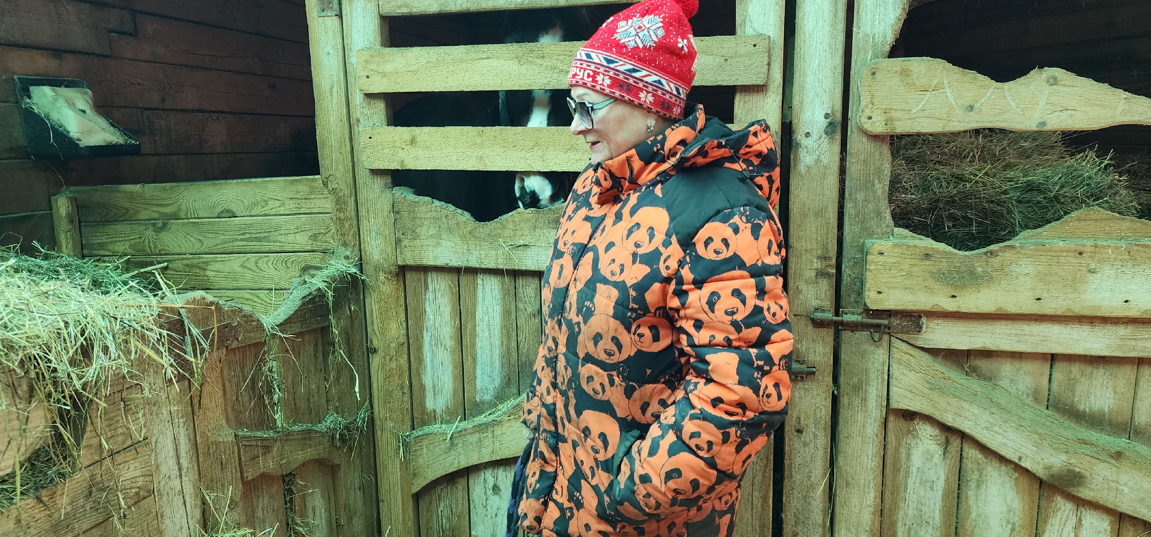 вертикалки, Туризм, конные прогулки,