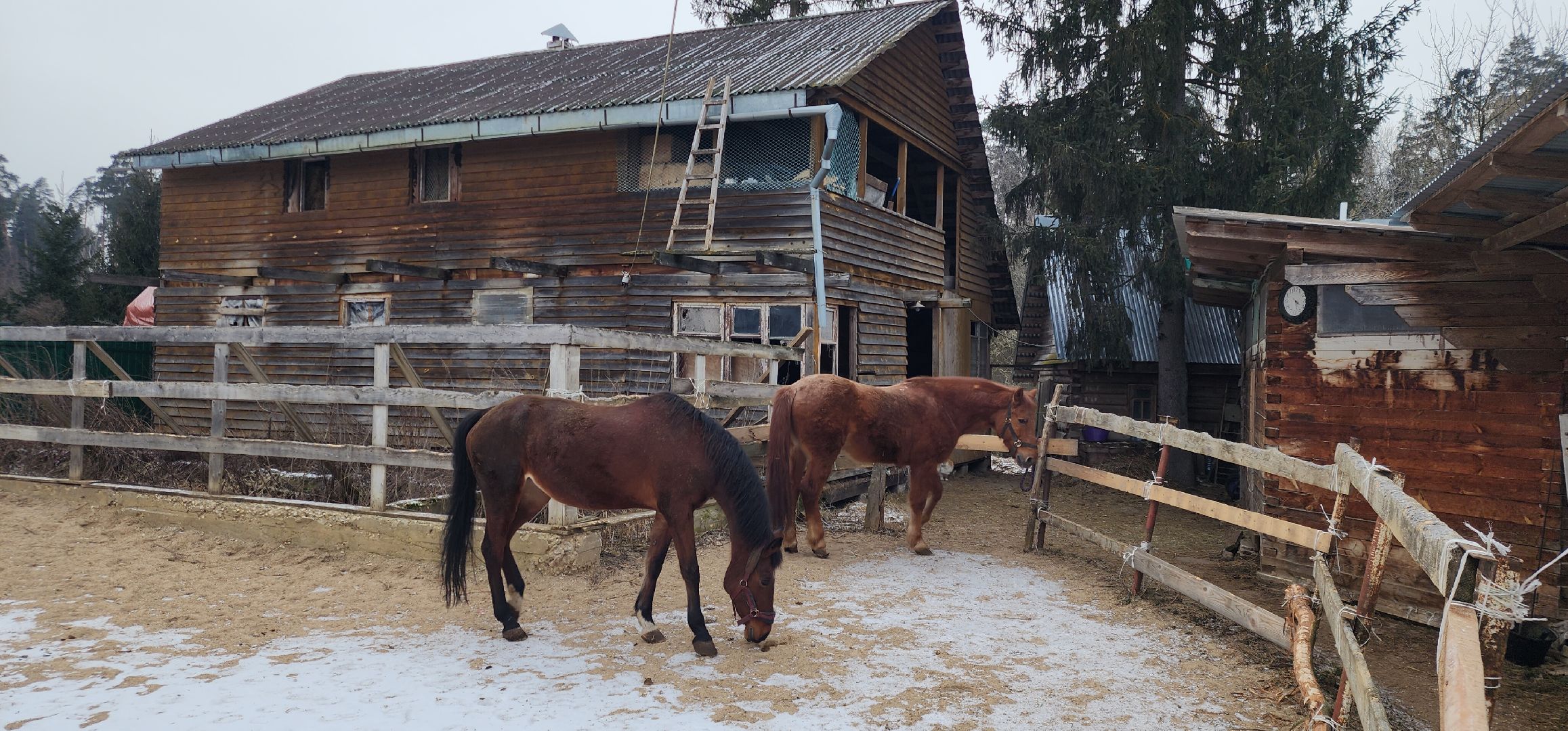 вертикалки, Туризм, конные прогулки,