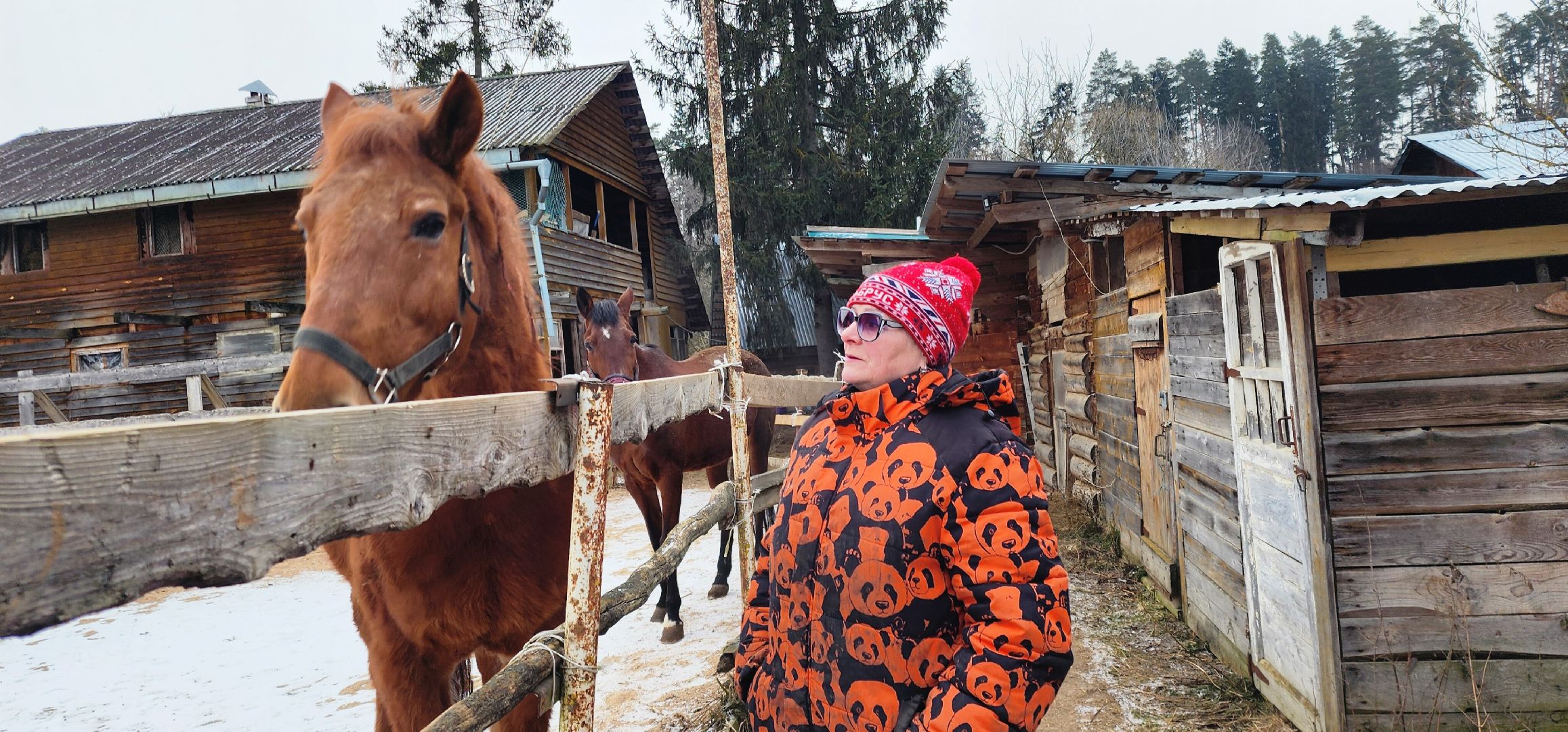вертикалки, Туризм, конные прогулки,