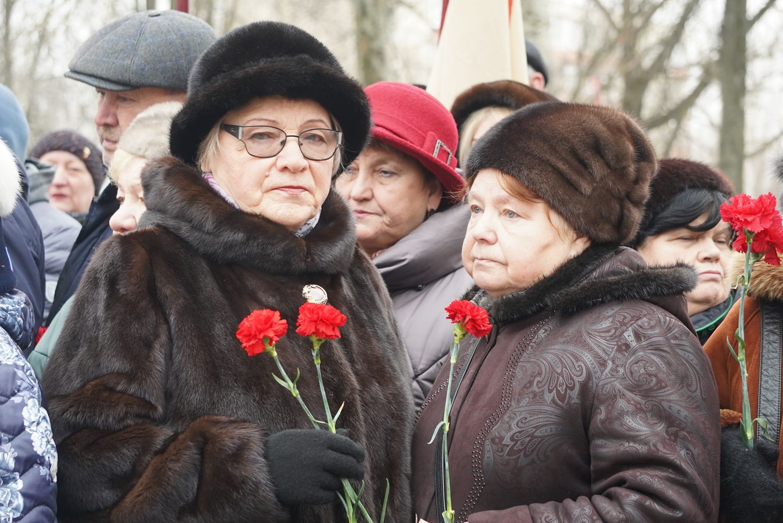 вертикалки, павловский посад, митинг, общество,