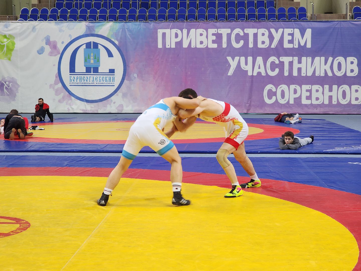 раменское, спорт, чемпионат московской области по вольной борьбе,