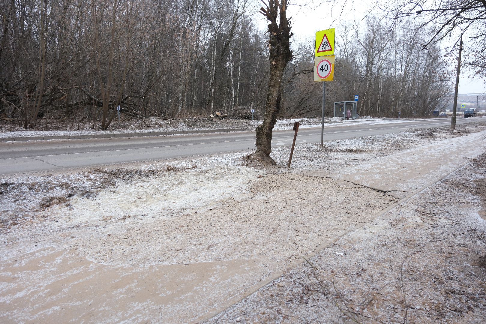 лыткарино, общество, выездная администиация, вертикалки,