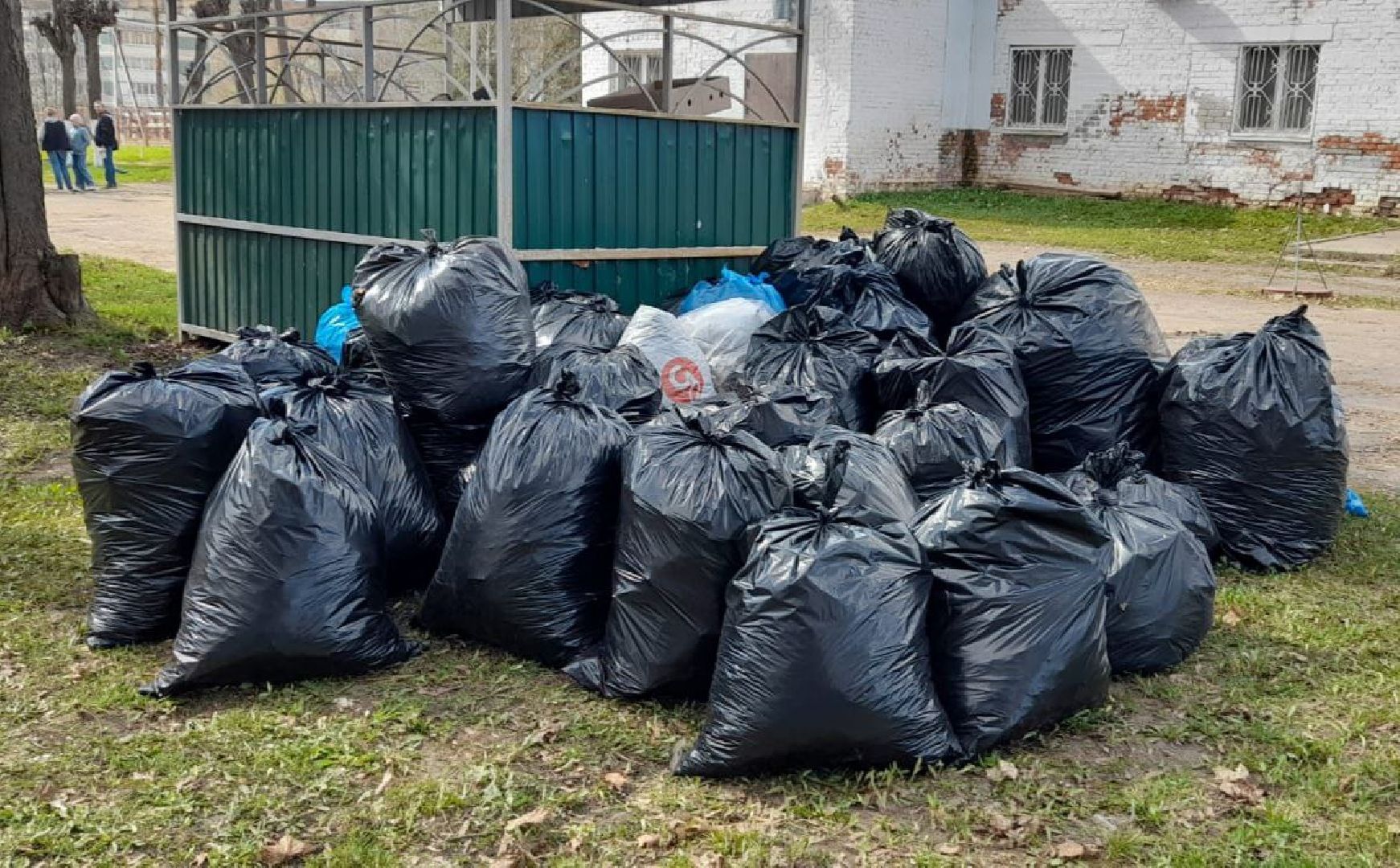 Солнечногорск, субботник, акция, уборка, лицей