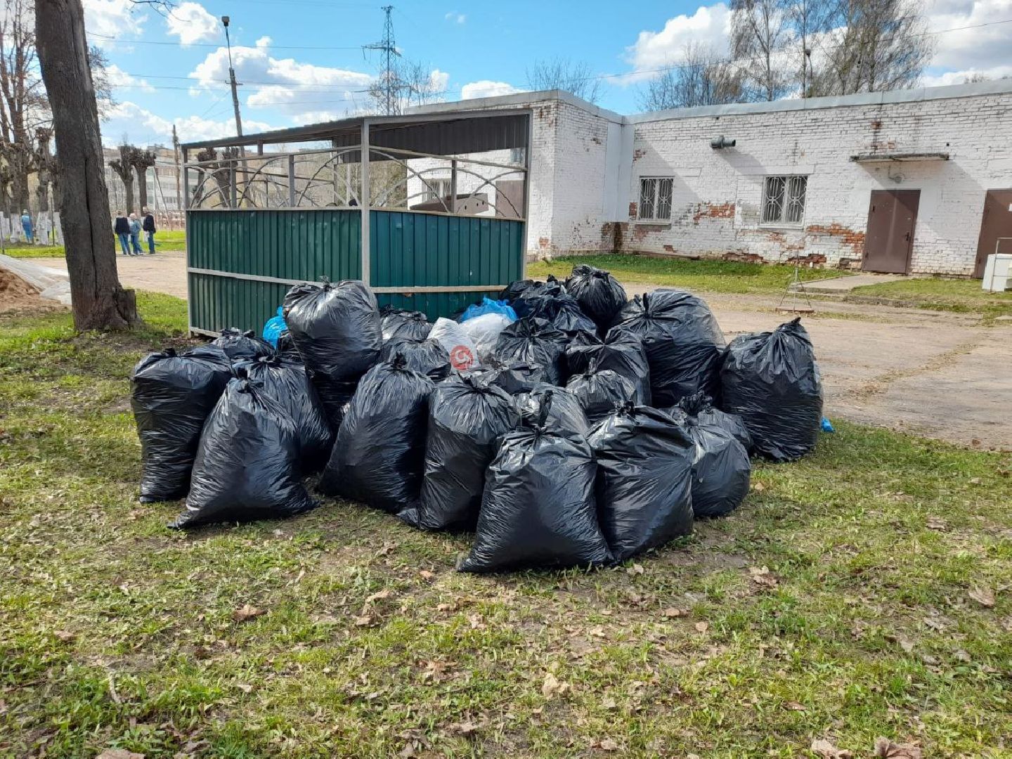 Солнечногорск, субботник, акция, уборка, лицей