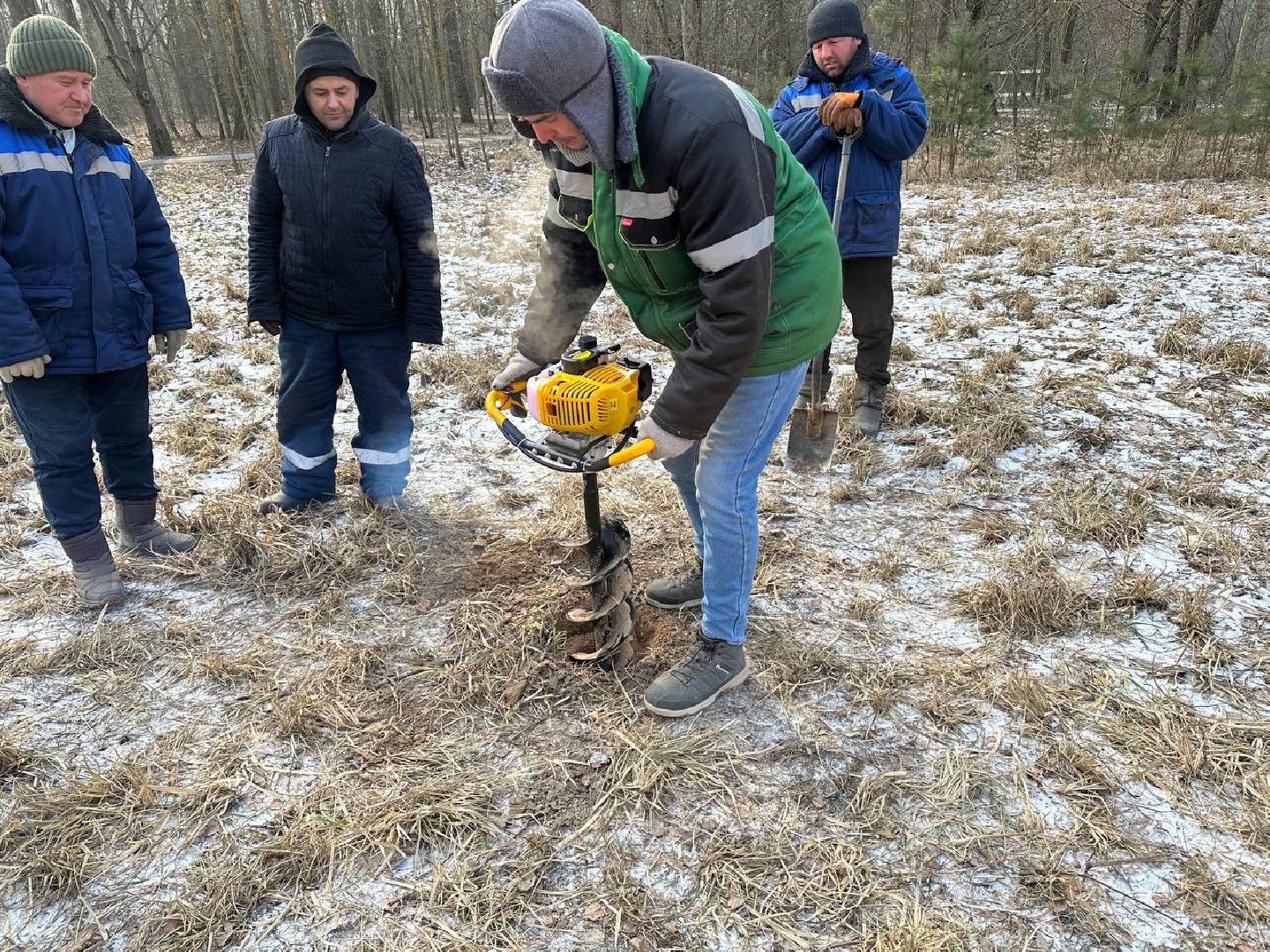 парки домодедово, масленица,