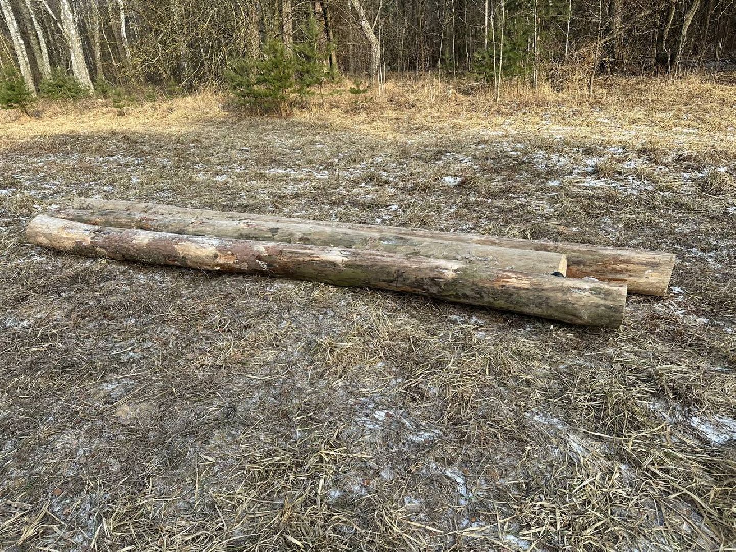 парки домодедово, масленица,