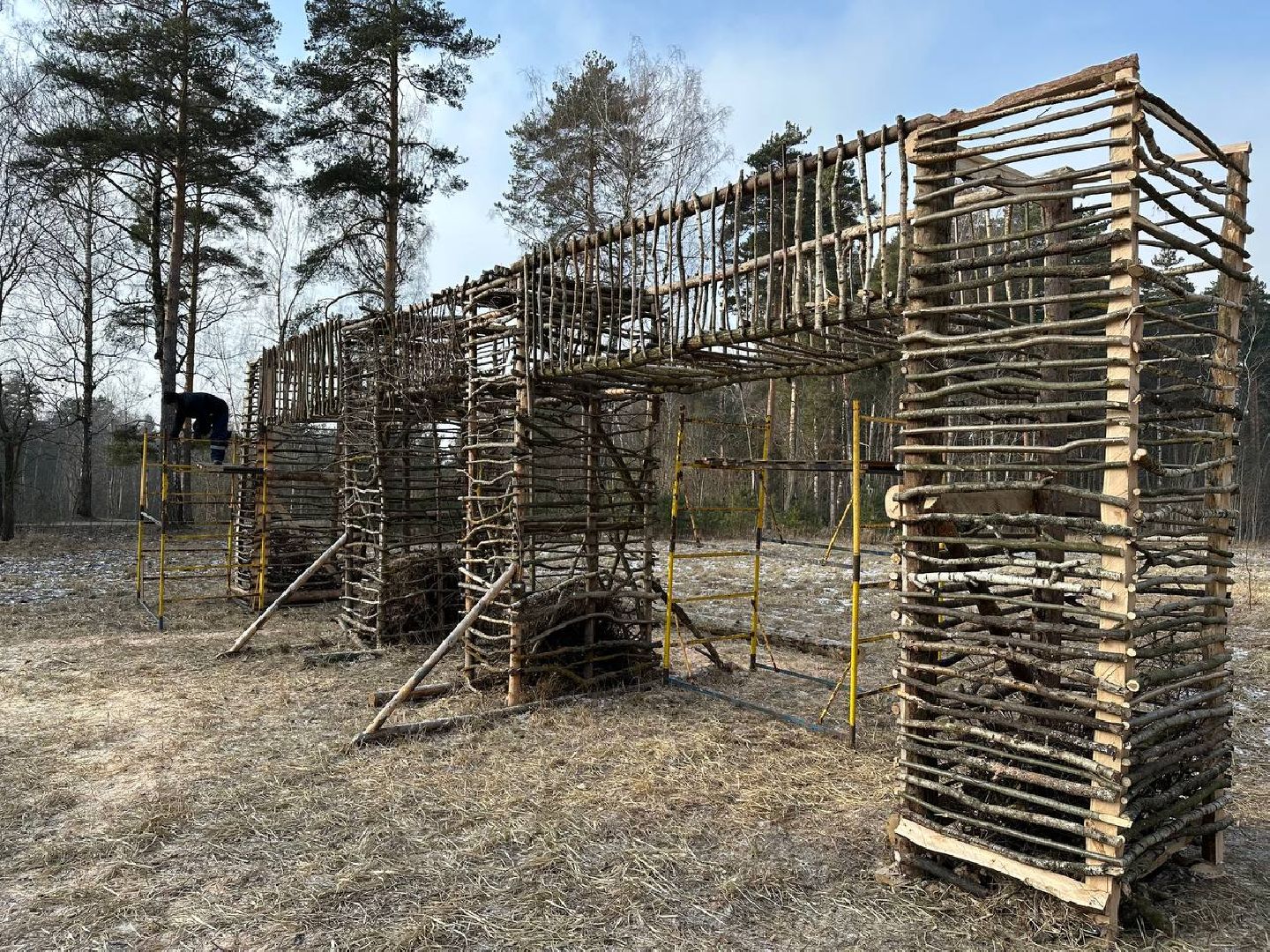 парки домодедово, масленица,