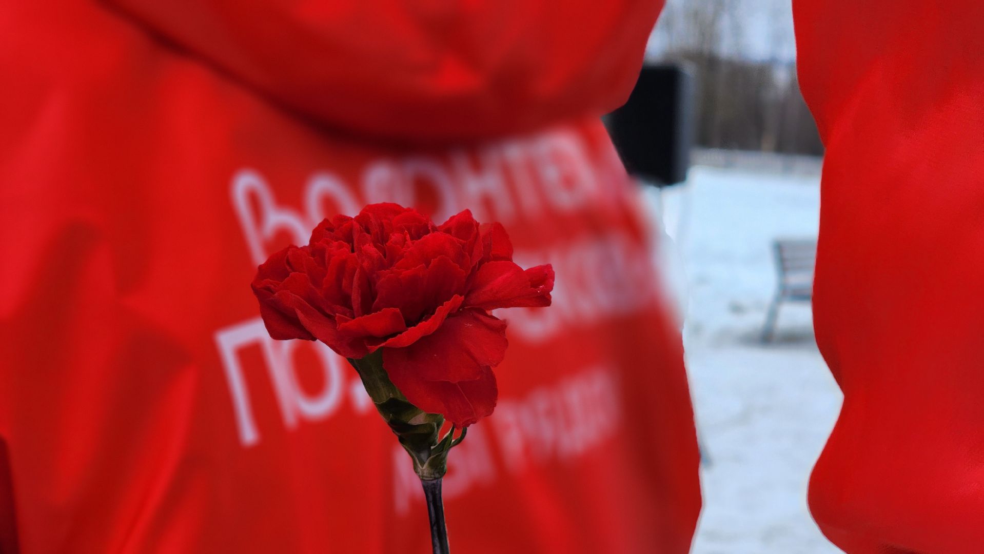 памятная дата, день памяти воинов-интернационалистов, волоколамск,