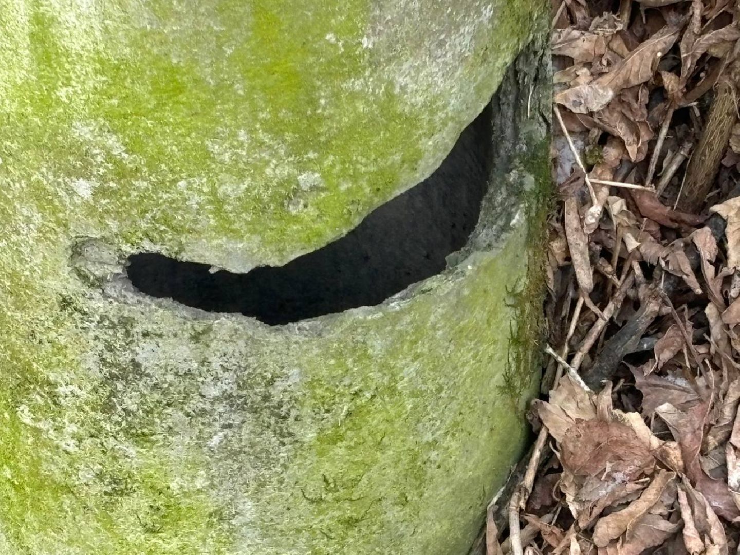 воскресенск, росгвардия, кража,