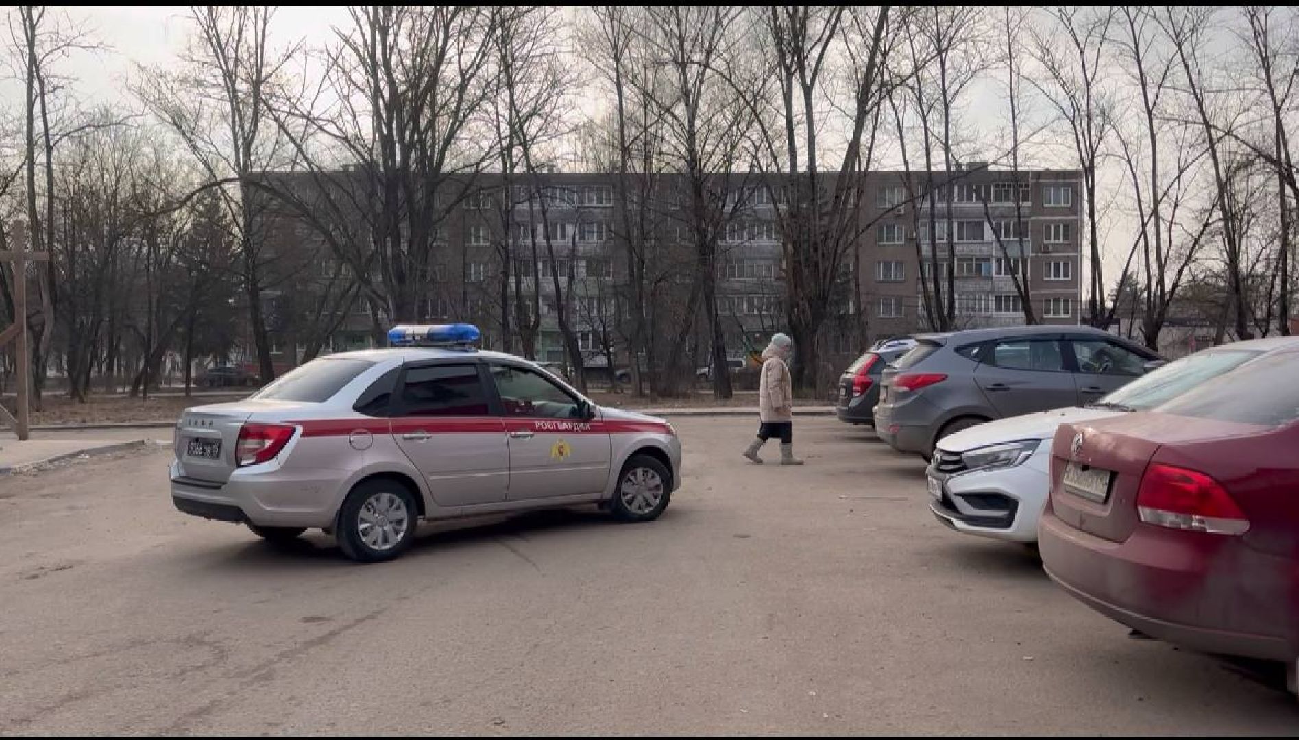 воскресенск, росгвардия, кража,