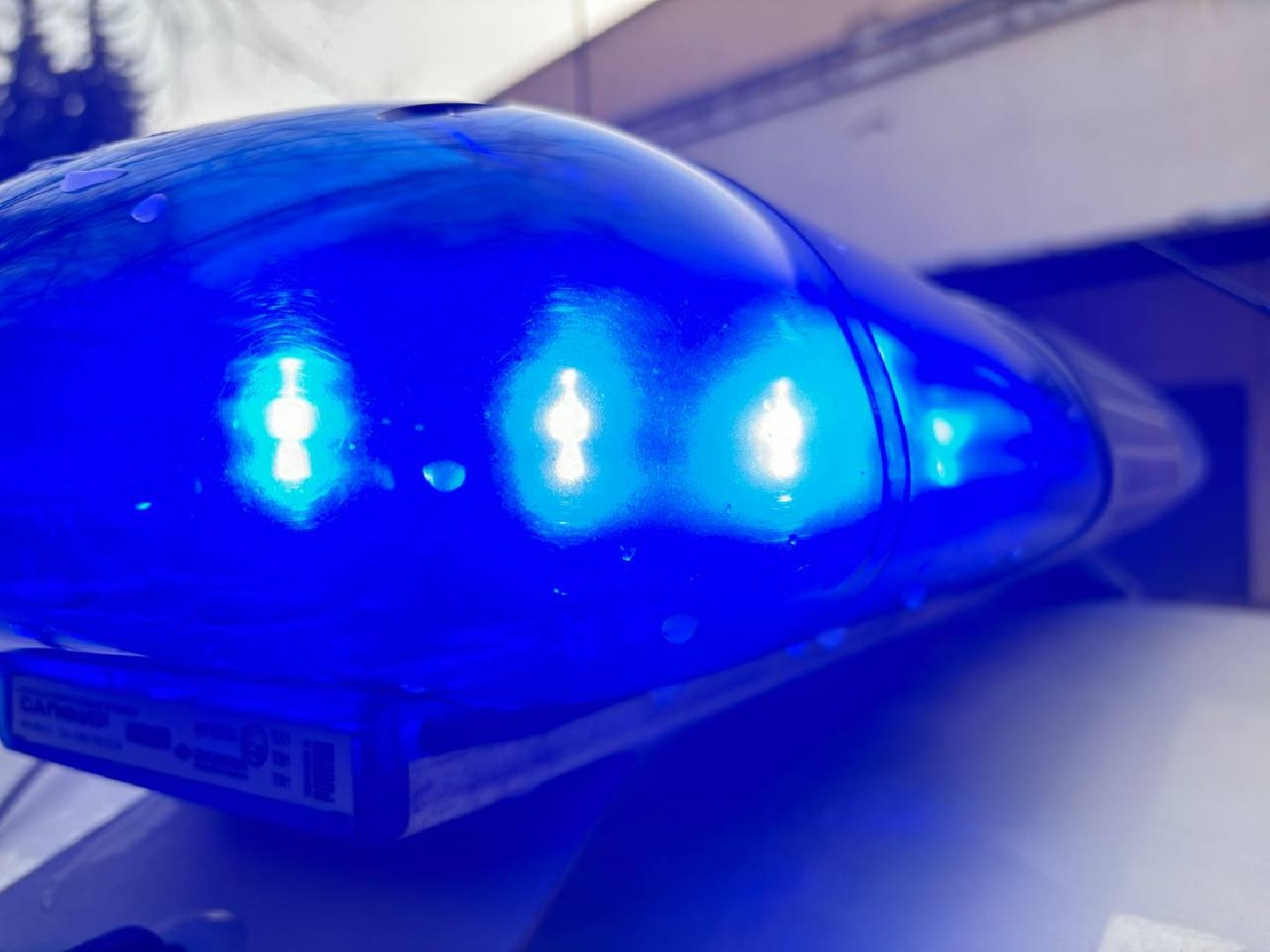 воскресенск, росгвардия, кража,