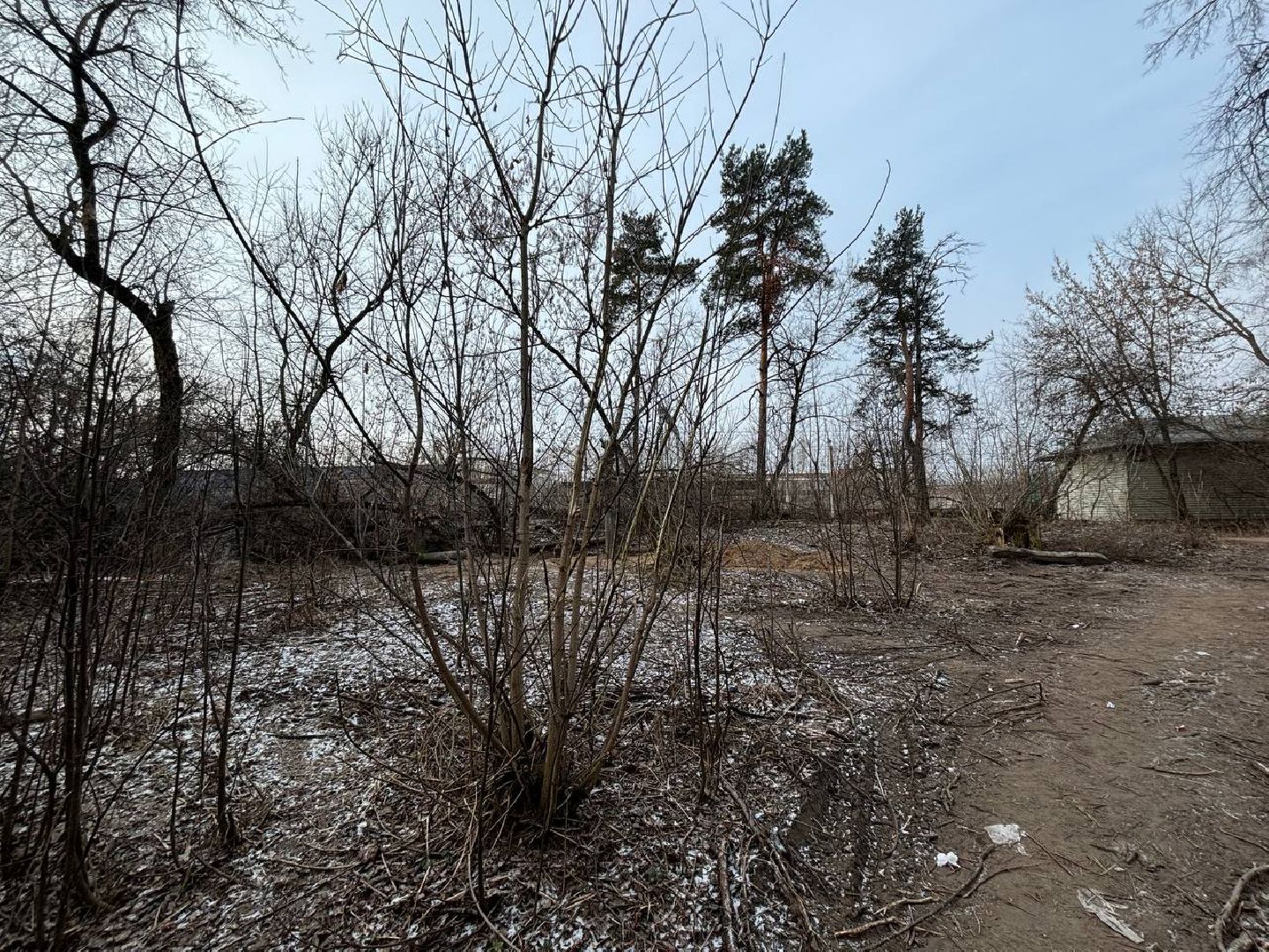 воскресенск, росгвардия, кража,