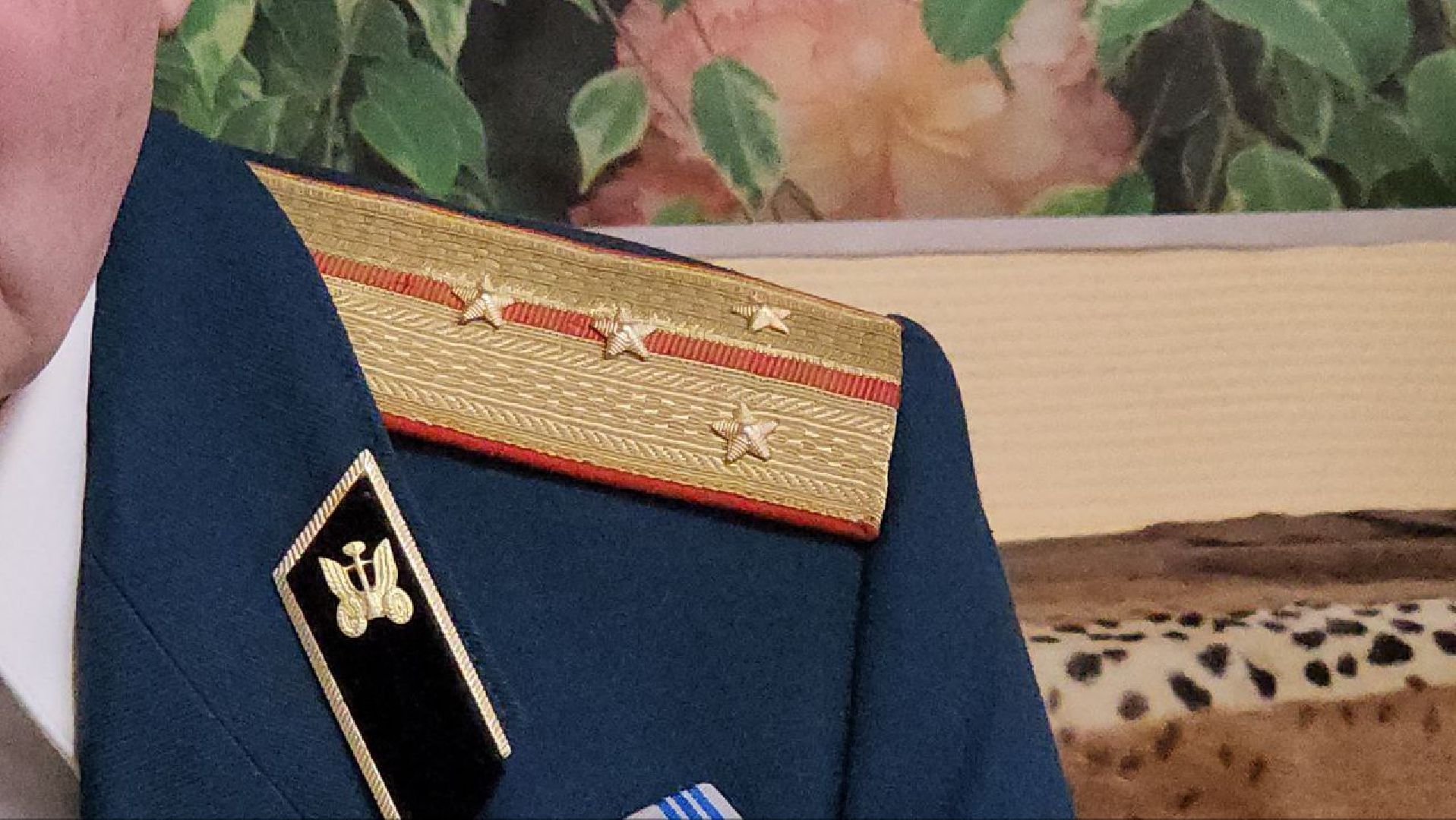 луховицы, Фруктовая, афганистан, вертикалки,