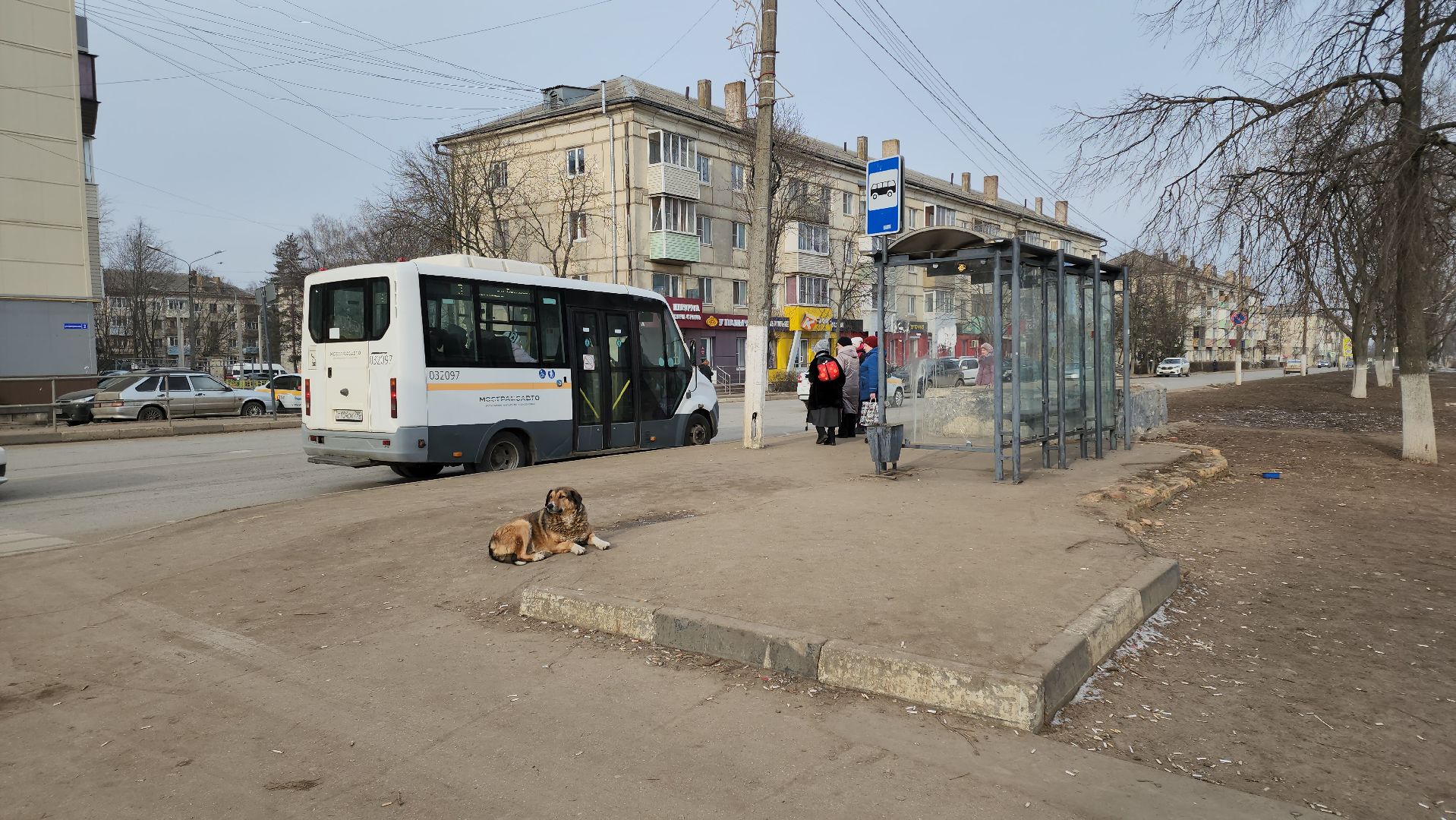 кашира, выездная администрация, кзмк, транспорт, автобусы, вертикалки,
