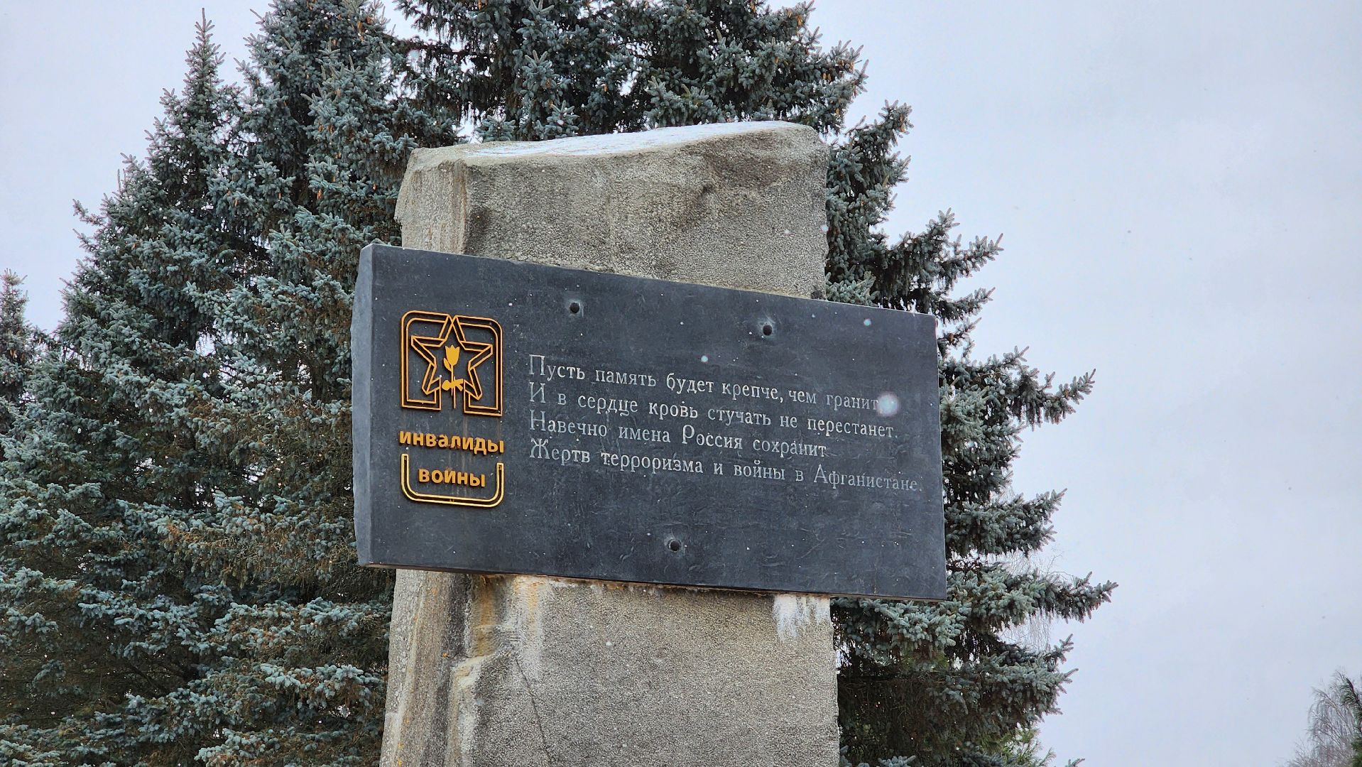 центр лиходея, руза, день памяти воинов-интернационалистов, рузский округ,