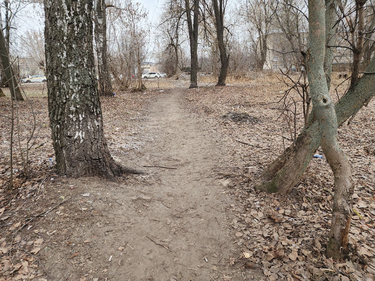 вертикалки, выездная администрация, орехово зуево, благоустройство,