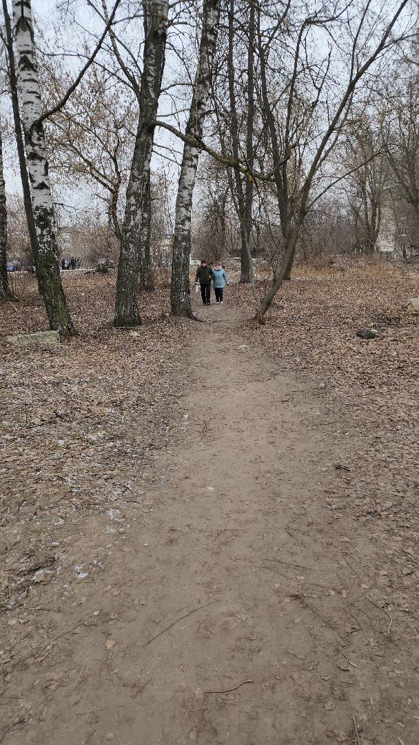 вертикалки, выездная администрация, орехово зуево, благоустройство,