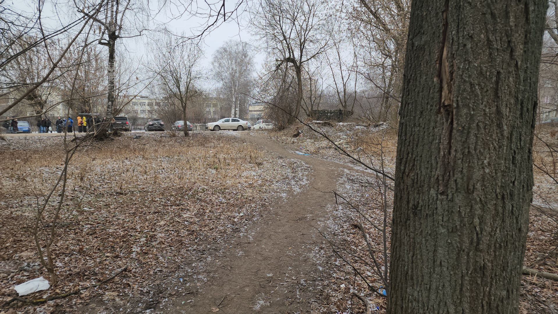 вертикалки, выездная администрация, орехово зуево, благоустройство,