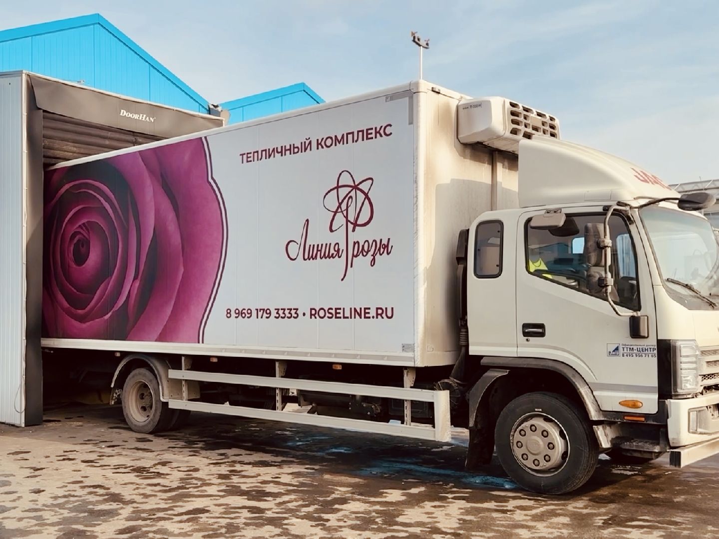 раменское, розы, тепличный комплекс, производство,вертикалки,