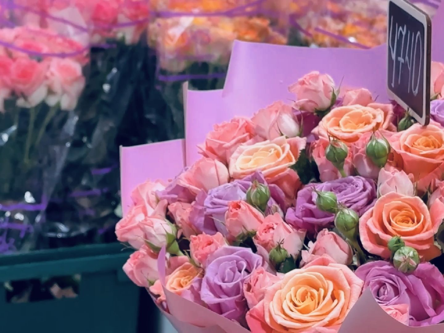 раменское, розы, тепличный комплекс, производство,вертикалки,