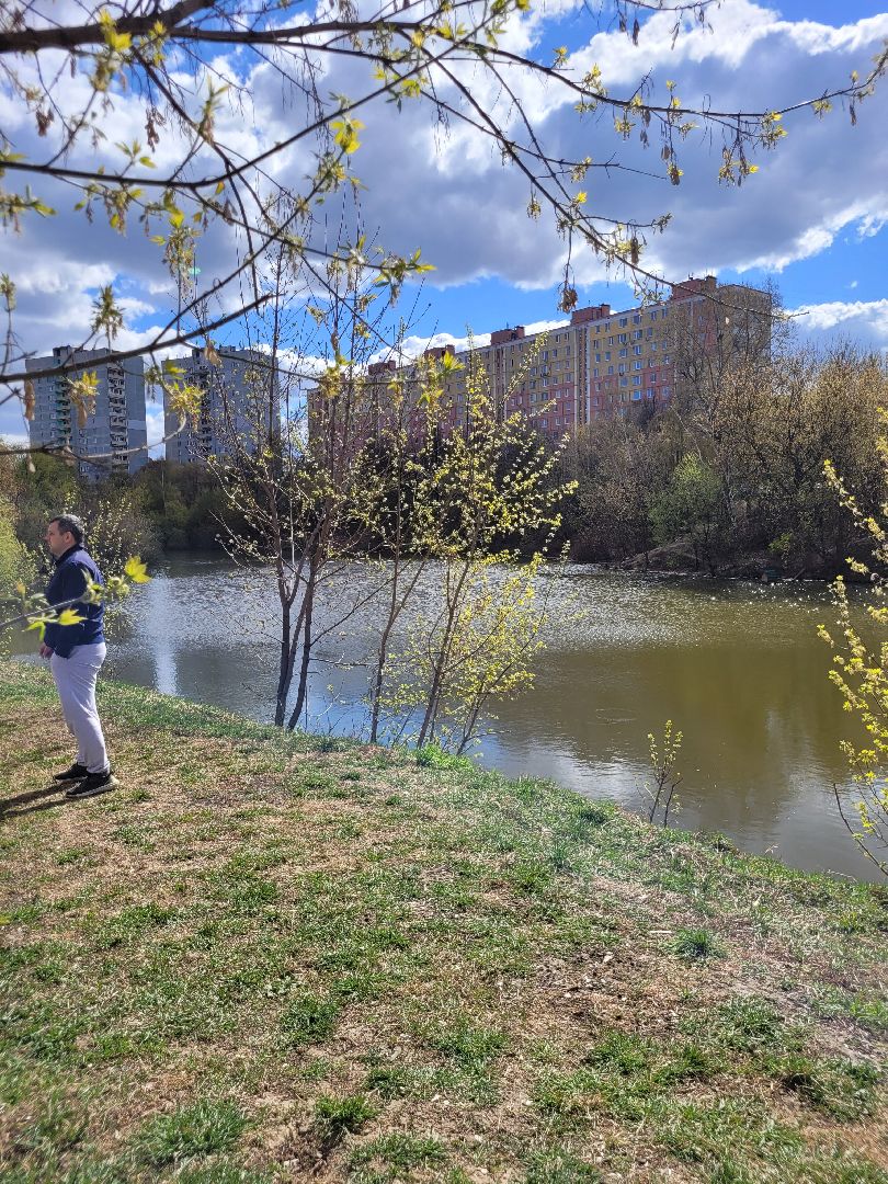 экология, чистота, субботник, видное, благоустройство