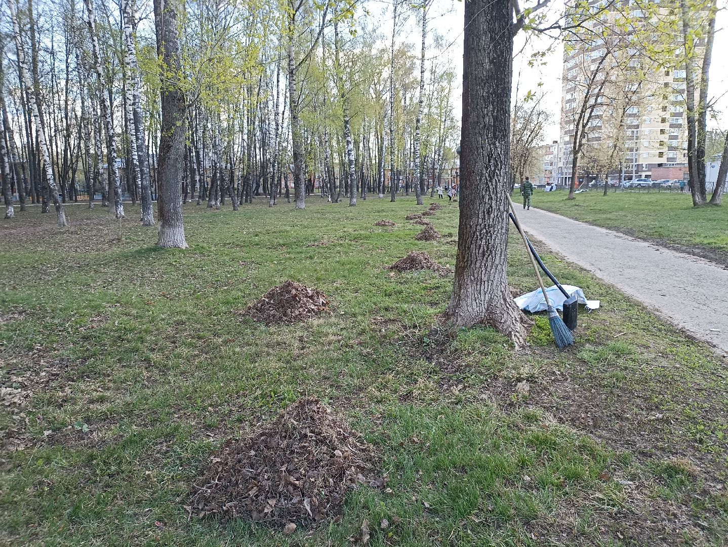 Серпухов, Подмосковье, уборка, субботник, парк