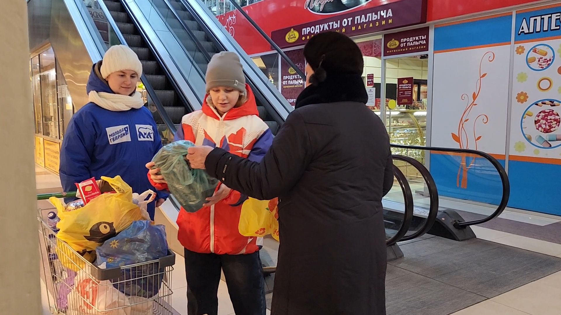Бронницы, вертикалки, Волонтеры Подмосковья, сбор гуманитарной помощи, акция доброе дело,