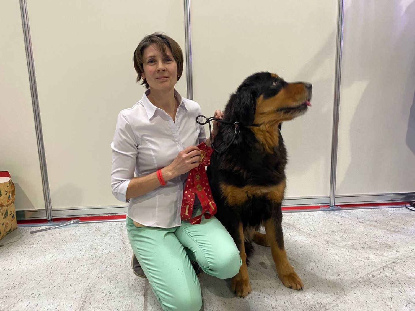 лучшиесобакироссии, выставкасобак, крокусэкспо,