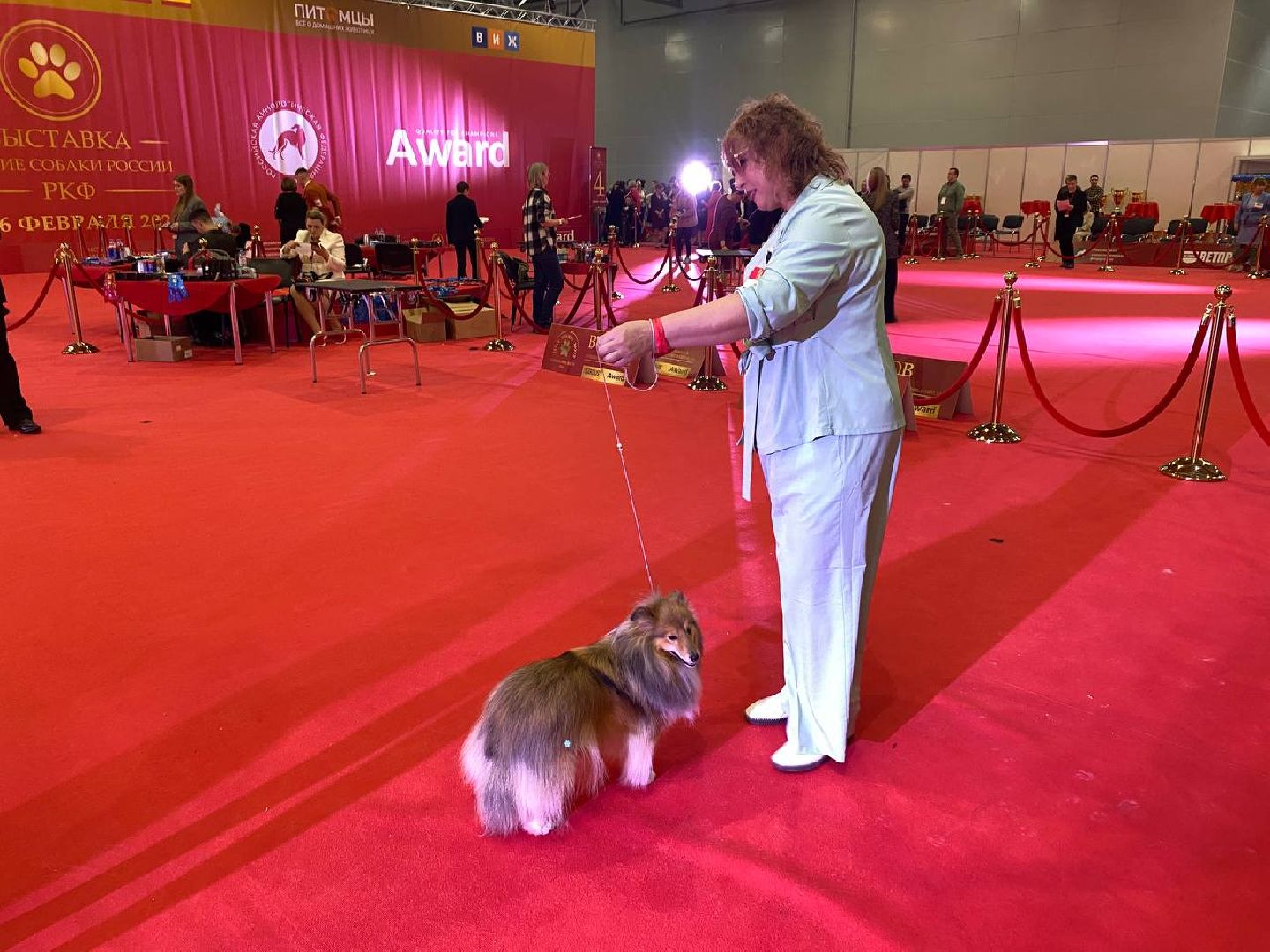 лучшиесобакироссии, выставкасобак, крокусэкспо,