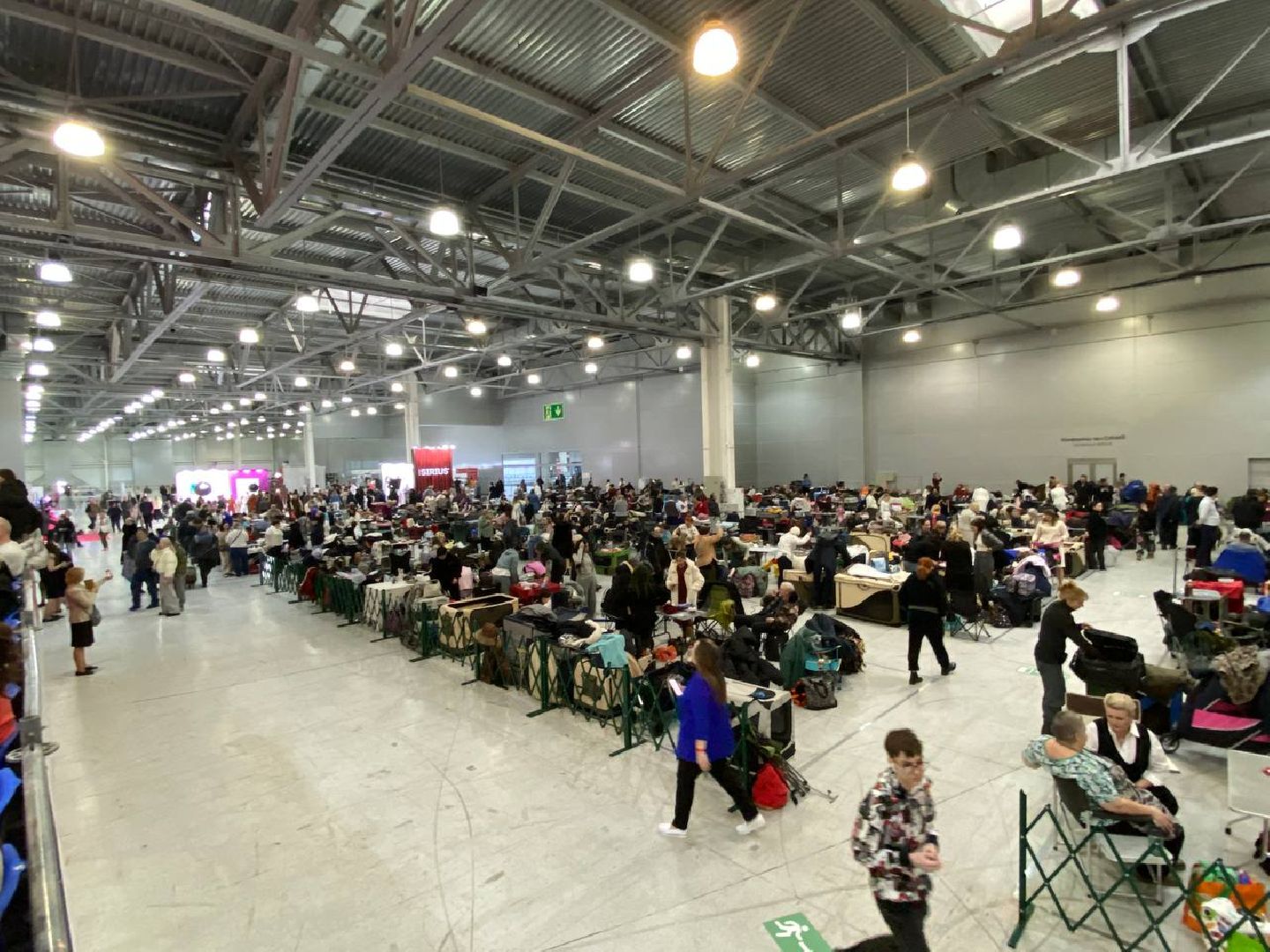 лучшиесобакироссии, выставкасобак, крокусэкспо,