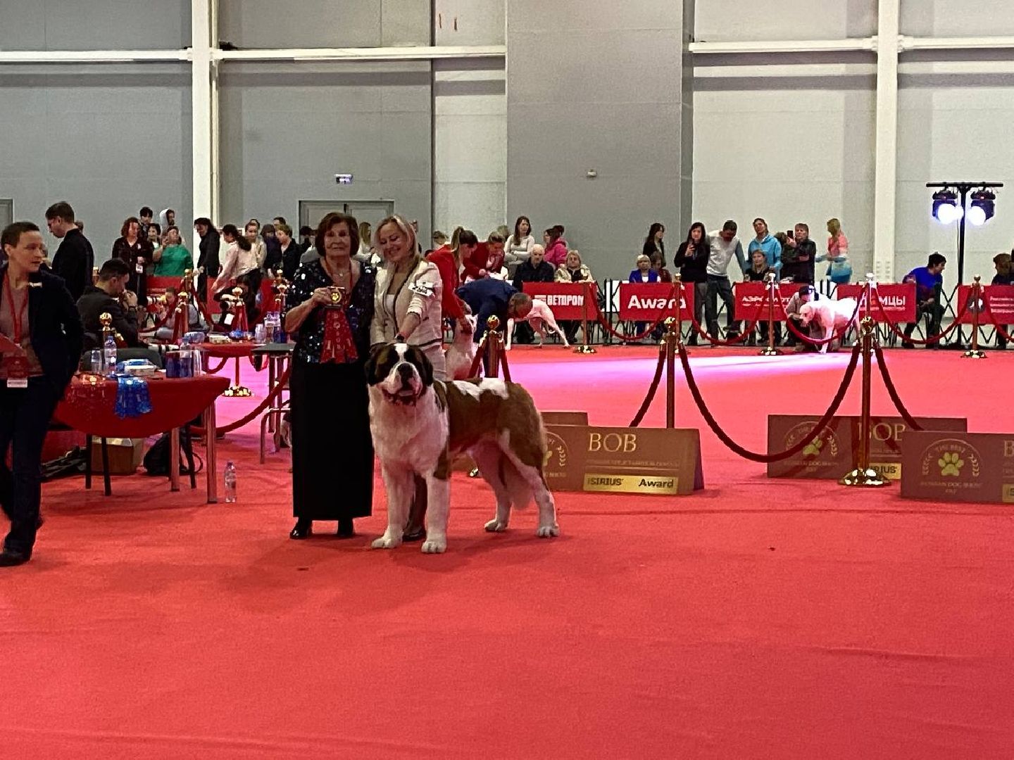 лучшиесобакироссии, выставкасобак, крокусэкспо,