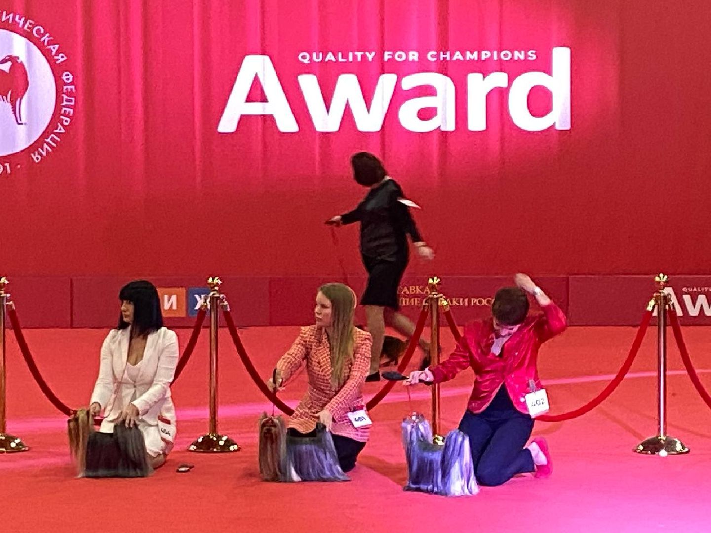 лучшиесобакироссии, выставкасобак, крокусэкспо,