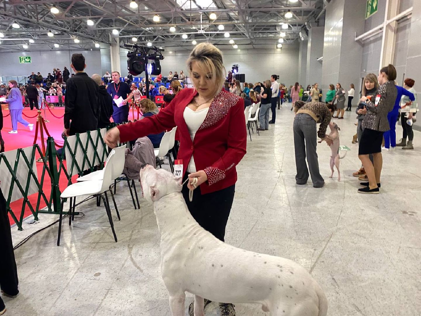 лучшиесобакироссии, выставкасобак, крокусэкспо,