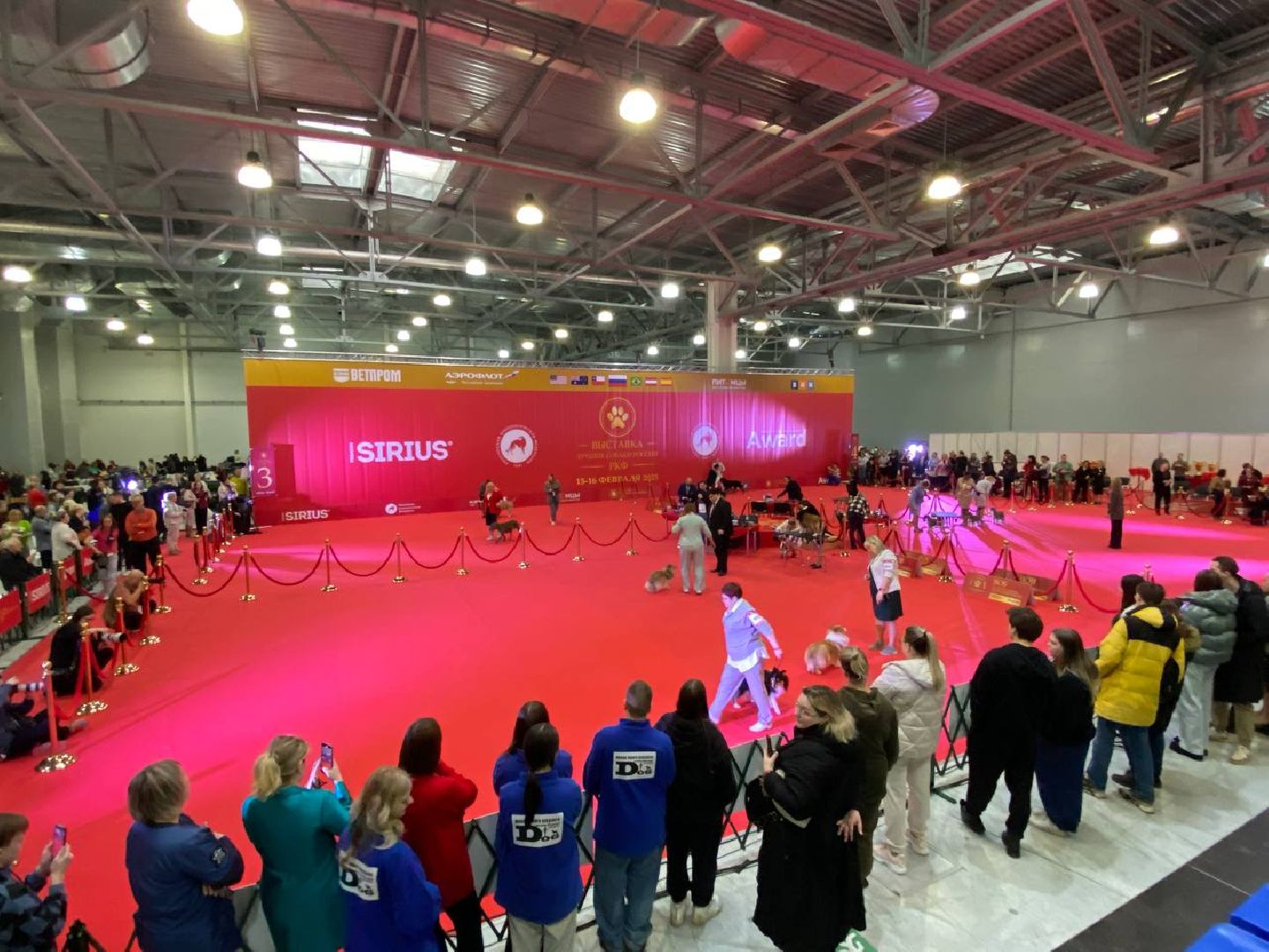 лучшиесобакироссии, выставкасобак, крокусэкспо,