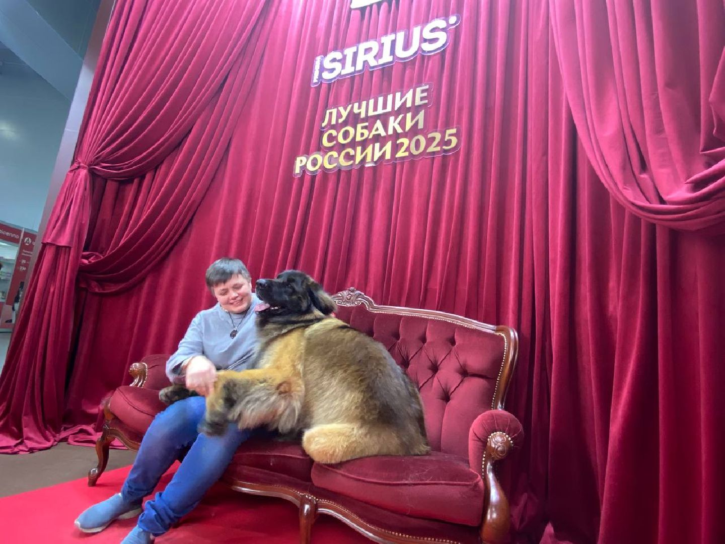 лучшиесобакироссии, выставкасобак, крокусэкспо,