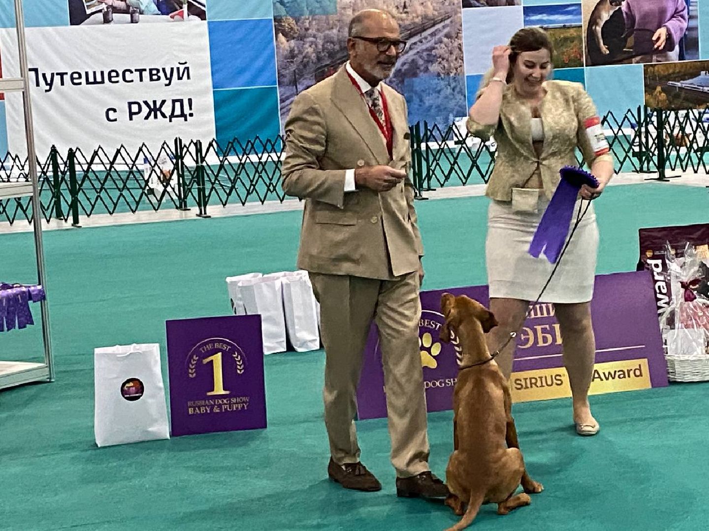 лучшиесобакироссии, выставкасобак, крокусэкспо,