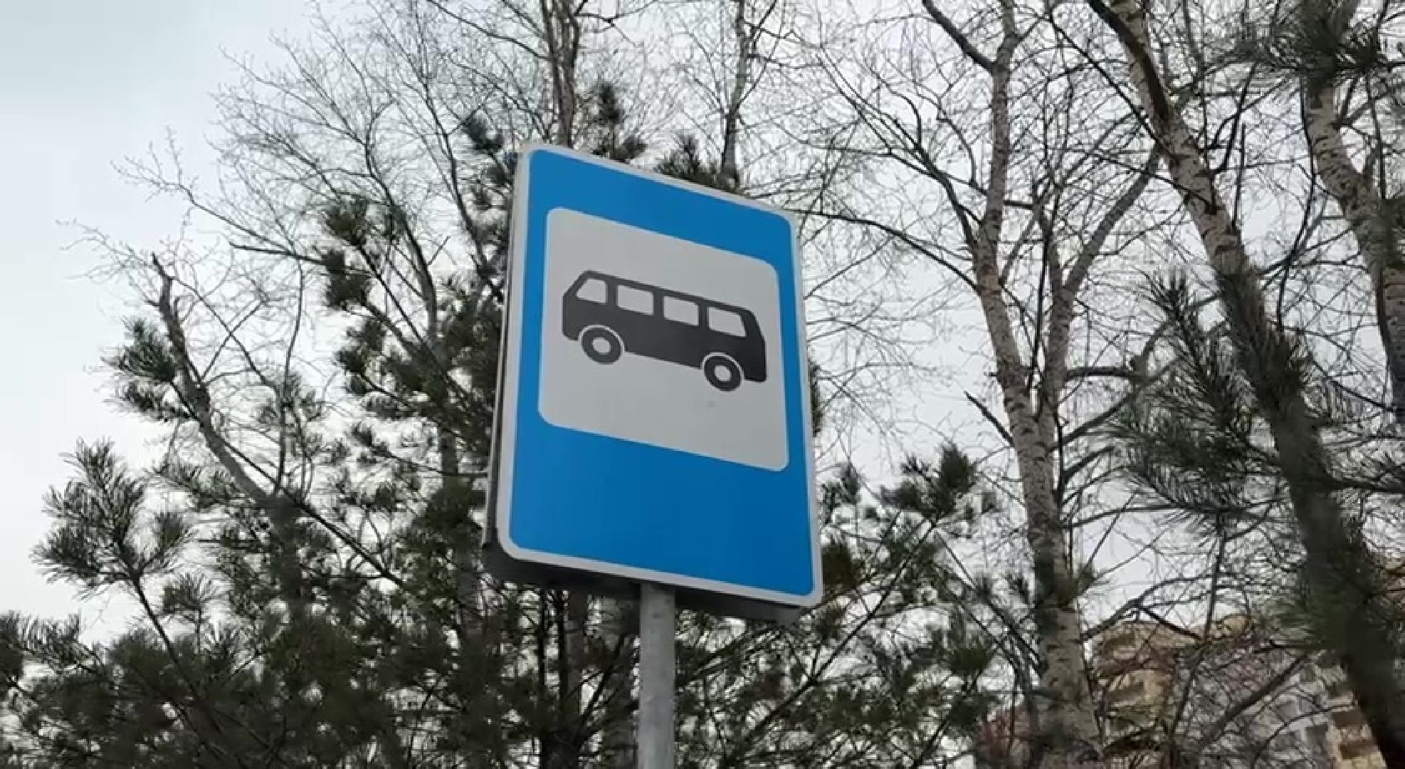 реутов, вертикалки, транспорт, новый маршрут, автобусы, остановка,