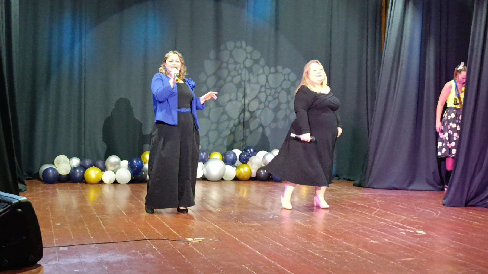 пушкинский, дк, дк современник, концерт, песни, эстрада, дуэт, семейные ценности,