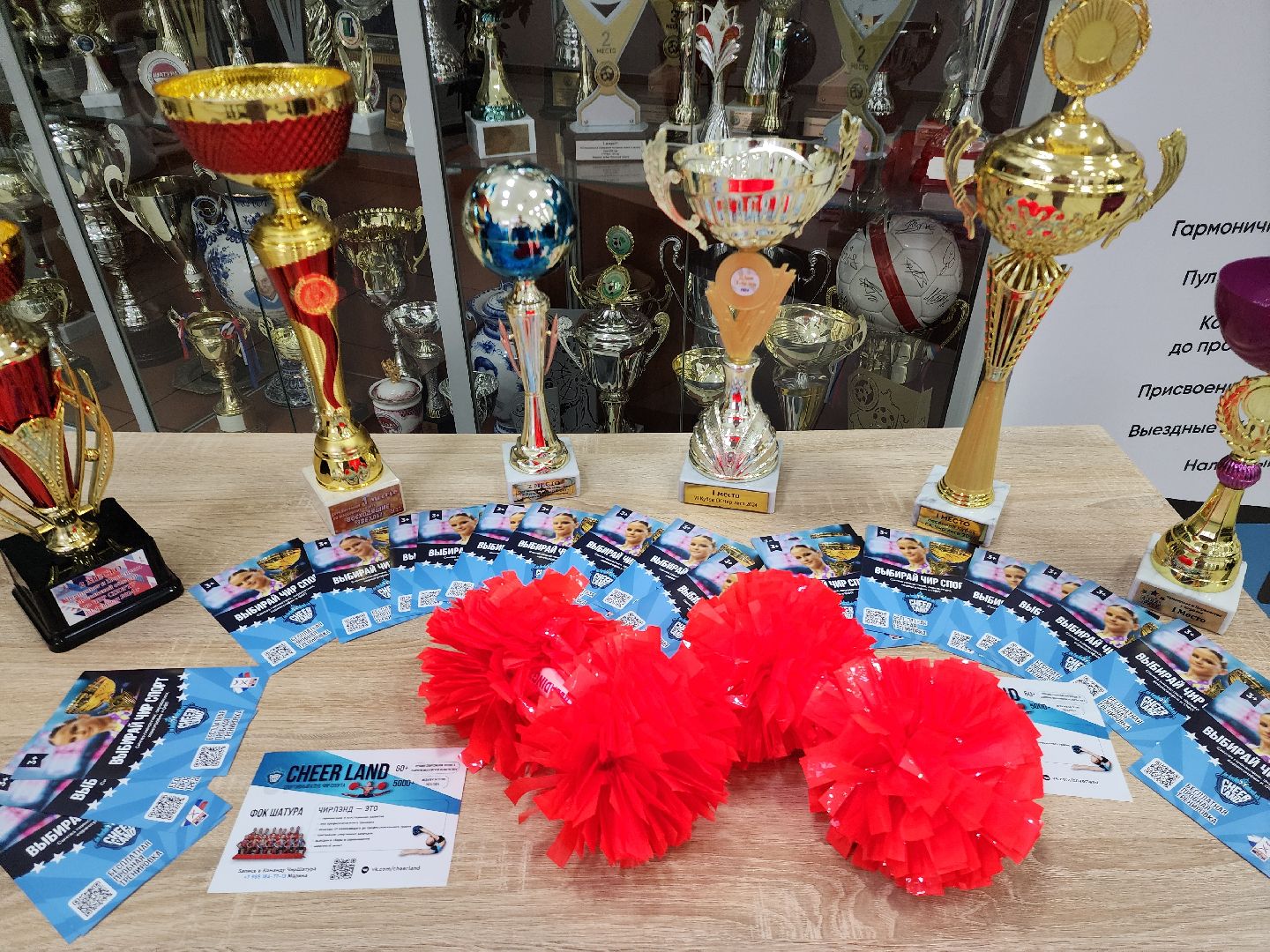 чирлидинг, шатура, спорт,