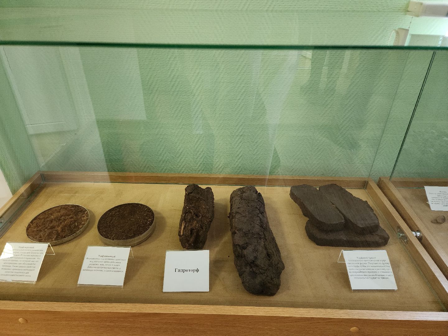 медицина,международный день женщины-врача, женщина-врач, врачи,