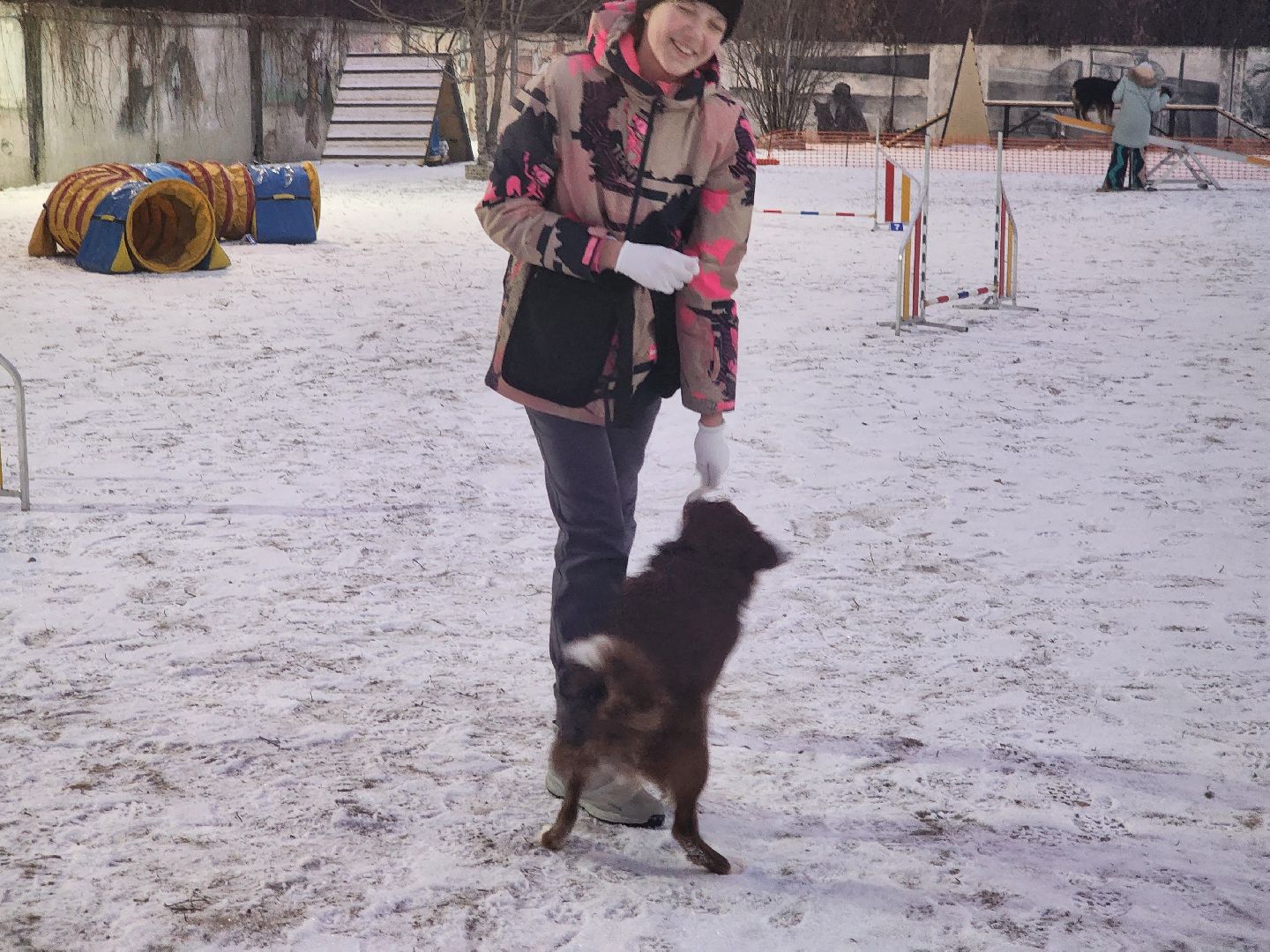 долгопрудный, x-легион, кинологи, аджилити, бордер-колли, вертикалки,